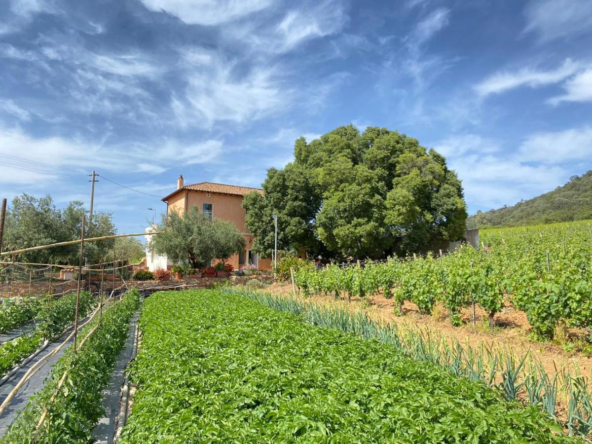 Appartamento Monte Astili Lanusei Esterno foto