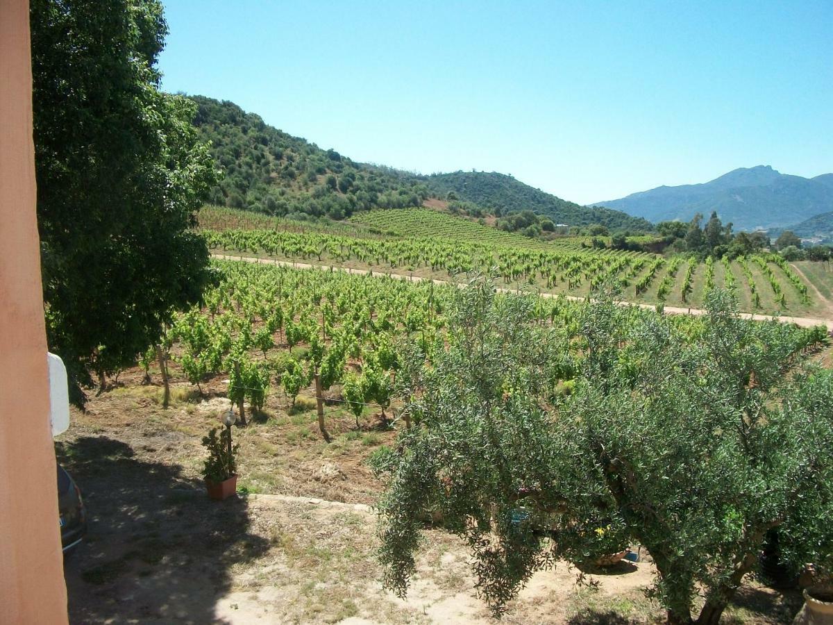 Appartamento Monte Astili Lanusei Esterno foto