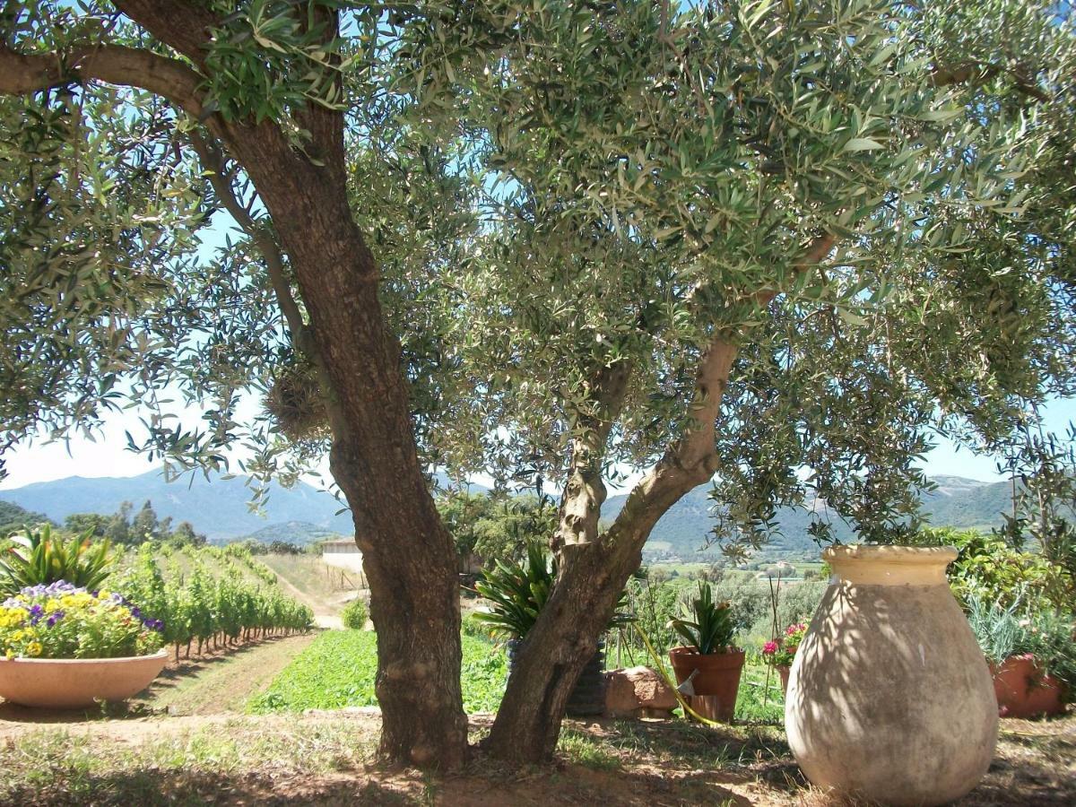 Appartamento Monte Astili Lanusei Esterno foto